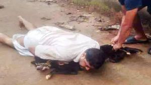  Viral Video: 'എന്നോട് കളിച്ചാല്‍ ഇങ്ങനെയിരിക്കും'; കടിച്ച നായയെ കീഴ്‌പ്പെടുത്തി യുവാവ്