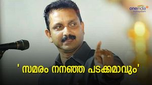  'സുപ്രീം കോടതിയിൽ തോറ്റത്തിനാണ് സമരം, നനഞ്ഞ പടക്കമാവും': കെ സുരേന്ദ്രൻ