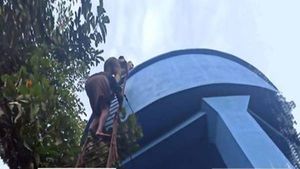 ടാങ്കിന് മുകളില്‍ കയറി ആത്മഹത്യ ഭീഷണി; പൊലീസിന്റെ സമയോചിത ഇടപെടല്‍, കയ്യടിച്ച് നാട്ടുകാര്‍