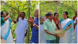 വിഷരഹിത പച്ചക്കറി വർഷം മുഴുവനും, അഞ്ചേക്കറിലെ പച്ചക്കറി കൃഷി വിളവെടുത്തു