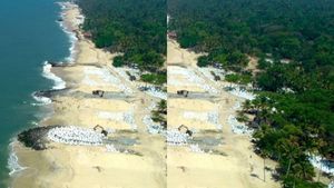  തീരദേശത്തിന്റെ ദുരിതത്തിന് അറുതി: ജില്ലയിൽ പുലിമുട്ട് നിർമാണം അതിവേഗത്തിൽ