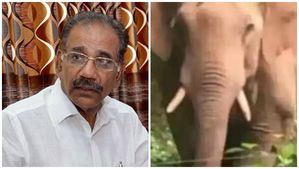 പിടി സെവന്‍ ഇനി 'ധോണി'; പുതിയ പേര്  നൽകി വനംവകുപ്പ് മന്ത്രി എ കെ ശശീന്ദ്രന്‍