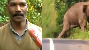 ‌അന്ന് കൊമ്പനോട് ഡാ കേറിപ്പോടാ എന്നുപറഞ്ഞ് കയറ്റിവിട്ട ശക്തിവേൽ കാട്ടാനാക്രമണത്തിൽ കൊല്ലപ്പെട്ടു
