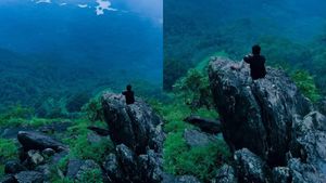 സഞ്ചാരികളെ കാത്ത് അണിഞ്ഞൊരുങ്ങി മലബാറിന്റെ ഗവി: വയലടയില്‍ ഇനി കൂടുതല്‍ സൗകര്യങ്ങള്‍