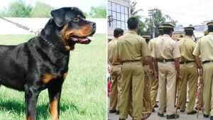 നായയെ തുറന്ന് വിട്ട് വടിവാളുമായി പ്രതി വീടിനുള്ളില്‍; പിടികൂടാനാകാതെ പൊലീസ്