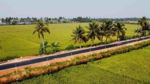 മന്ത്രിയുടെ പോസ്റ്റ് കത്തിക്കയറി; ആലപ്പുഴയിലെ ഈ റോഡാണ് സോഷ്യല്‍ മീഡിയ താരം