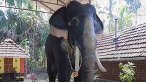 ഉത്സവ എഴുന്നള്ളിപ്പില്‍ പുതിയ ചരിത്രം; തിടമ്പേറ്റി റോബോട്ട് ആന, ജീവനുള്ള ആന പുറകില്‍ നില്‍ക്കണം