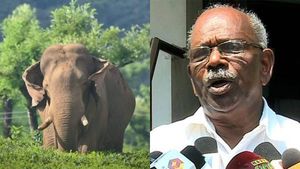 '11 പേരെ കൊന്ന കക്ഷിയാണ്, സ്വന്തമായി വക്കീലൊക്കെ ഉണ്ട്'; പരിഹാസവുമായി എംഎം മണി