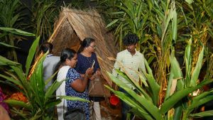  ആ കാഴ്ച കാണാന്‍ ആലപ്പുഴക്കാര്‍ ഇനി ഇടുക്കിക്ക് പോകേണ്ട, ഒന്ന് ബീച്ച് വരെ പോയാല്‍ മതി