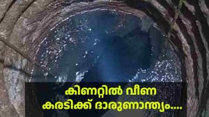 വെള്ളനാട്ടിൽ കിണറ്റില്‍ വീണ കരടി ചത്തു, മയക്കുവെടി വെച്ച് രക്ഷിക്കാൻ ശ്രമിക്കുന്നതിനിടെ ദാരുണാന്ത്യം 