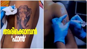 അരിക്കൊമ്പന്റെ 'കട്ടഫാൻ'; അരിക്കൊമ്പനെ കയ്യിൽ പച്ചകുത്തി യുവാവ്; വൈറൽ