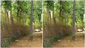  റോഡിന്റെ നടുക്ക്  വൈദ്യുത പോസ്റ്റ്;  വർഷങ്ങളായി കാത്തിരുന്ന് കിട്ടിയ റോഡിലൂടെ ഓട്ടോ പോലും പോകില്ല