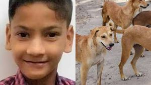  ഒന്നു കരയാന്‍ പോലുമാകാതെ നിഹാല്‍, ശരീരം തെരുവുനായ്ക്കള്‍ കടിച്ചുപറിച്ചു, ഞെട്ടലില്‍ മുഴപ്പിലങ്ങാട്