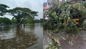 കണ്ണൂരിൽ അതിതീവ്രമഴ; വെള്ളക്കെട്ടിൽ വീണ് ഒരാൾ മരിച്ചു, മരം കടപുഴകി വീണ് വ്യാപകനാശം