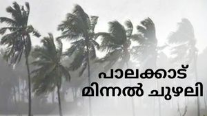  പാലക്കാട് മിന്നൽ ചുഴലി; മരങ്ങൾ കടപുഴകി വീണു, 15 ഓളം വീടുകൾ തകർന്നു