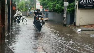 മലപ്പുറത്ത് മഴയില്‍ വ്യാപക നാശനഷ്ടം; 38 വീടുകള്‍ തകര്‍ന്നു, വൈദ്യുതി പലയിടത്തും തടസ്സപ്പെട്ടു