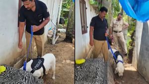  പോലീസ് ഡോഗ് 'ലാറ' ഇറങ്ങി; പരിശോധനയില്‍ കഞ്ചാവ് പിടിച്ചെടുത്തു