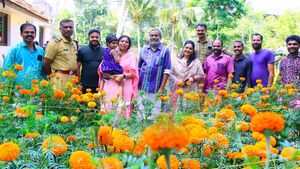 കൃഷിമന്ത്രിയുടെ വീട്ടിൽ പൂക്കൃഷി; 2500 ചുവട് ബന്തിയും 250 ചുവട് വാടാമല്ലിയും; നൂറുമേനി വിളവെടുപ്പ്