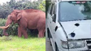  അട്ടപ്പാടിയിൽ ഒറ്റയാന്റെ ആക്രമണം; കാർ കൊമ്പിൽ കോർത്ത് ഉയർത്തി, അഞ്ചംഗ കുടുംബം രക്ഷപ്പെട്ടത് തലനാരിഴയ്ക്ക്