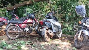റെയില്‍വെ സ്റ്റേഷനിലെ അനധികൃത പാര്‍ക്കിംഗ് സ്ഥലത്ത് മരം വീണു; ഇരുചക്രവാഹനങ്ങള്‍ക്ക് കേടുപാട്