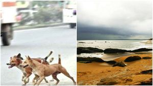 കാപ്പാട് ബീച്ചിലെ കുതിരയ്ക്ക് പേവിഷബാധയെന്ന് സംശയം; സവാരി നടത്തിയ ആളുകൾ ശ്രദ്ധിക്കണമെന്ന് നിർദ്ദേശം