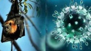 നിപ വ്യാജ സൃഷ്ടിയെന്ന് ഫേസ്ബുക്ക് പോസ്റ്റ്; കൊയിലാണ്ടിയിൽ യുവാവിനെതിരെ കേസ്