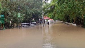 വെള്ളത്തിൽ മുങ്ങി ടെക്നോപാർക്ക്, വെളളം ഒഴുകിപ്പോകാൻ സംവിധാനമില്ലെന്ന് നാട്ടുകാർ
