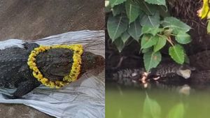  കാസർഗോഡ് അനന്തപത്മനാഭ സ്വാമി തടാക ക്ഷേത്രത്തിൽ വീണ്ടും മുതല; സ്ഥിരീകരിച്ച് ക്ഷേത്രം അധികൃതർ