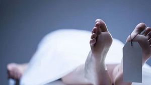 കാട്ടുപന്നിയെ പിടികൂടാന്‍ വെച്ച വൈദ്യുത കെണിയില്‍ നിന്ന് ഷോക്കേറ്റ് കര്‍ഷകന്‍ മരിച്ചു