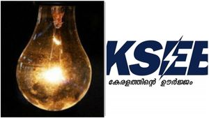 ഇടയ്ക്കിടെ കറന്റ് പോക്ക്; സഹികെട്ട വാർഡ് മെമ്പർ കെ എസ് ഇ ബി ജീവനക്കാർക്ക് കൊടുത്തത് 'ചില്ലറ' പണി