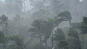 ഷൊർണൂരിൽ മിന്നൽച്ചുഴലിക്കാറ്റ്; വൻ നാശനഷ്ടം; ഒട്ടനവധി വീടുകൾക്ക്   കേടുപാട്