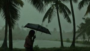 എറണാകുളത്ത് മഴക്കൊപ്പം ശക്തമായ കാറ്റും; ബെവ്കോ ഔട്ട്ലെറ്റില്‍ അലമാരകള്‍ മറിഞ്ഞ് കുപ്പികള്‍ താഴെ വീണു