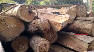 റിസര്‍വ് വനത്തില്‍ നിന്ന് തേക്ക് മരങ്ങള്‍ മുറിച്ചു കടത്തി; സംഭവം ഇടുക്കിയില്‍