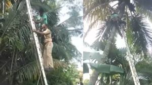 തെങ്ങിൽ കയറുന്നതിനിടെ പിടുത്തംവിട്ടു; 42 അടി ഉയരത്തിൽ തലകീഴായി യുവാവ്, പിന്നീട് സംഭവിച്ചത്