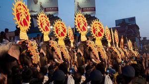 6 മണിക്കൂറിൽ കൂടുതൽ എഴുന്നള്ളിപ്പ് അനുവദിക്കില്ല; ആനകളെ എഴുന്നള്ളിക്കുന്നതിന് നിബന്ധനകൾ പുറത്തിറക്കി;