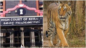 നരഭോജി കടുവയെ വെടി വെയ്ക്കാനുള്ള ഉത്തരവ് റദ്ദാക്കില്ല; ഹർജി തള്ളി, 25000 രൂപ പിഴയിട്ട് ഹൈക്കോടതി