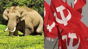 കാട്ടാന ആക്രമണം: മൂന്നാറില്‍ ഇന്ന് എല്‍ഡിഎഫ് ഹര്‍ത്താല്‍, കോണ്‍ഗ്രസ് റോഡ് ഉപരോധിക്കും