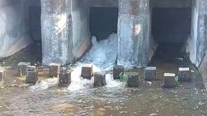 ഇനി തെളിനീരൊഴുകും: പഴശ്ശി പദ്ധതിയുടെ മെയിന്‍ കനാല്‍ വഴി വെള്ളം ഒഴുക്കിവിട്ടു