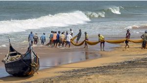 ഒരു മാസത്തിനിടെ കടലില്‍ നിന്നും രക്ഷപ്പെടുത്തിയത് 28 മത്സ്യത്തൊഴിലാളികളെ: വില്ലനായി സാങ്കേതിക തകരാർ 