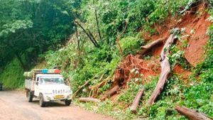 കനത്ത മഴയില്‍ മരങ്ങള്‍ കടപുഴകുന്നു, മാക്കൂട്ടം ചുരം റോഡിലെ അപകടഭീഷണിയില്‍
