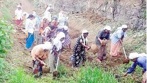 തൊഴിലുറപ്പ് പദ്ധതി: 4499 തൊഴില്‍ കാര്‍ഡുകള്‍ റദ്ദാക്കി, ആനുകൂല്യങ്ങള്‍ ഇല്ലാതാക്കാനെന്ന് ആരോപണം