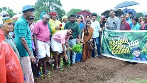 കല്ല്യാശ്ശേരിയില്‍ ഔഷധഗ്രാമം പദ്ധതിയുടെ രണ്ടാംഘട്ടത്തിന് തുടക്കമായി; ഉദ്‌ഘാടനം ചെയ്‌ത്‌ എം വിജിൻ എംഎൽഎ 