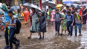 കോഴിക്കോട് അവധിയുണ്ടോ? സ്‌കൂള്‍ അവധി പ്രധാനാധ്യാപകര്‍ക്ക് തീരുമാനിക്കാമെന്ന് ജില്ലാ കലക്ടര്‍ 
