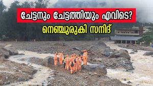 'നിലമ്പൂരിൽ നിന്ന് കുറച്ച് ബോഡി വരുന്നുണ്ട്, ഇനി അതിൽ നോക്കണം'; നെഞ്ചുലഞ്ഞ് സനിദ്