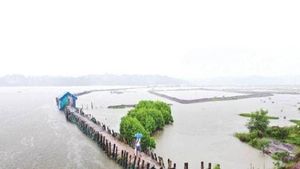 പുല്ലൂപ്പിക്കടവ്, കാട്ടാമ്പള്ളി  ടൂറിസം  കേന്ദ്രങ്ങൾ ഒരു മാസത്തിനകം സജ്ജമാകും