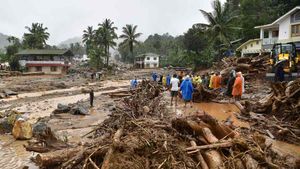 മുണ്ടക്കൈയെ പുനരധിവസിപ്പിക്കും: അഞ്ച് കോടി മേപ്പാടി പഞ്ചായത്തിന് നല്‍കുമെന്ന് ജില്ലാ പഞ്ചായത്ത്