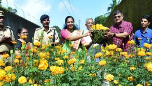 ഓണം കളറാക്കാൻ ഇത്തവണ ജയിൽ അന്തേവാസികളുടെ ചെണ്ടുമല്ലിയും