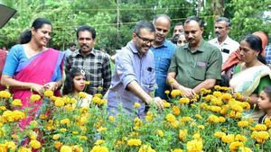 ഓണപ്പൂക്കളമൊരുക്കാന്‍ വീട്ടുമുറ്റത്ത് പൂപ്പാടമൊരുക്കി കണ്ണൂരിലെ കര്‍ഷകന്‍