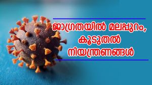 നിപ: മലപ്പുറത്ത് മാസ്ക് നിർബന്ധമാക്കി, കൂട്ടംകൂടി നിൽക്കാൻ പാടില്ല; നിയന്ത്രണങ്ങൾ ഇങ്ങനെ