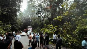 നെടുംപൊയിൽ - ചുരം റോഡ് അടച്ചിട്ടത് ദുരിതമാകുന്നു: പാൽച്ചുരം റോഡിൽ ഗതാഗത കുരുക്ക് രൂക്ഷം